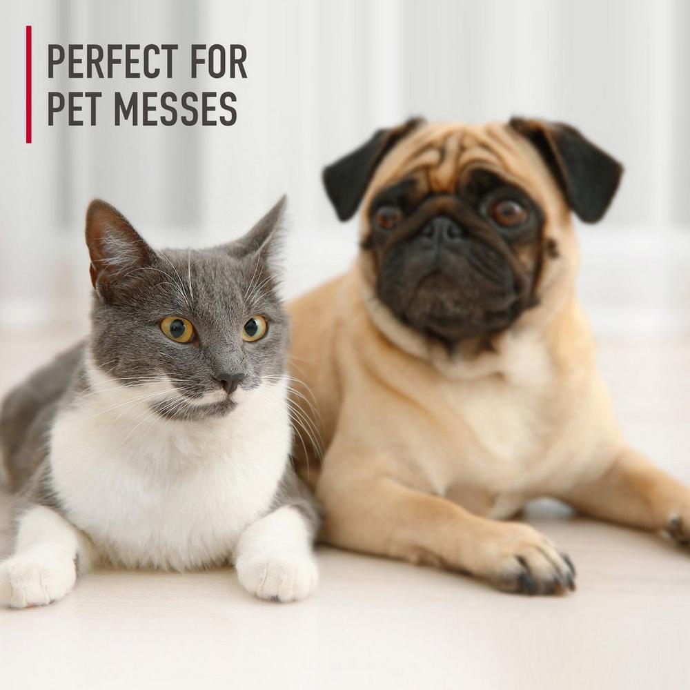 Pet Hard Floor Solution 64 oz. - Image 3