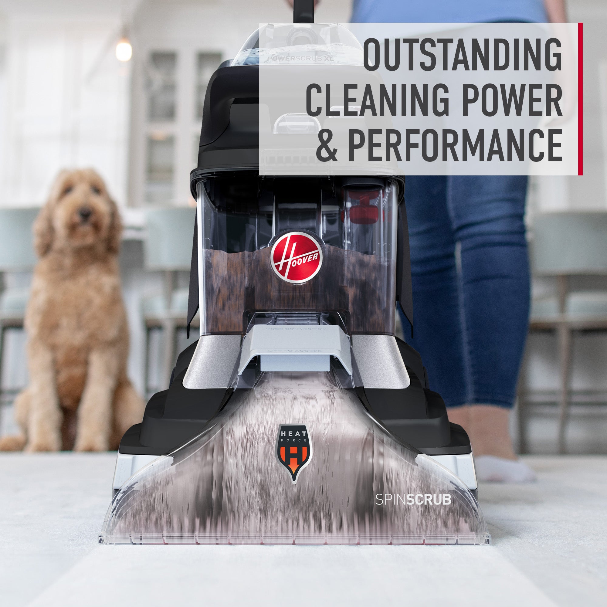Paws & Claws Carpet Cleaning Solution 64 oz. - Image 5